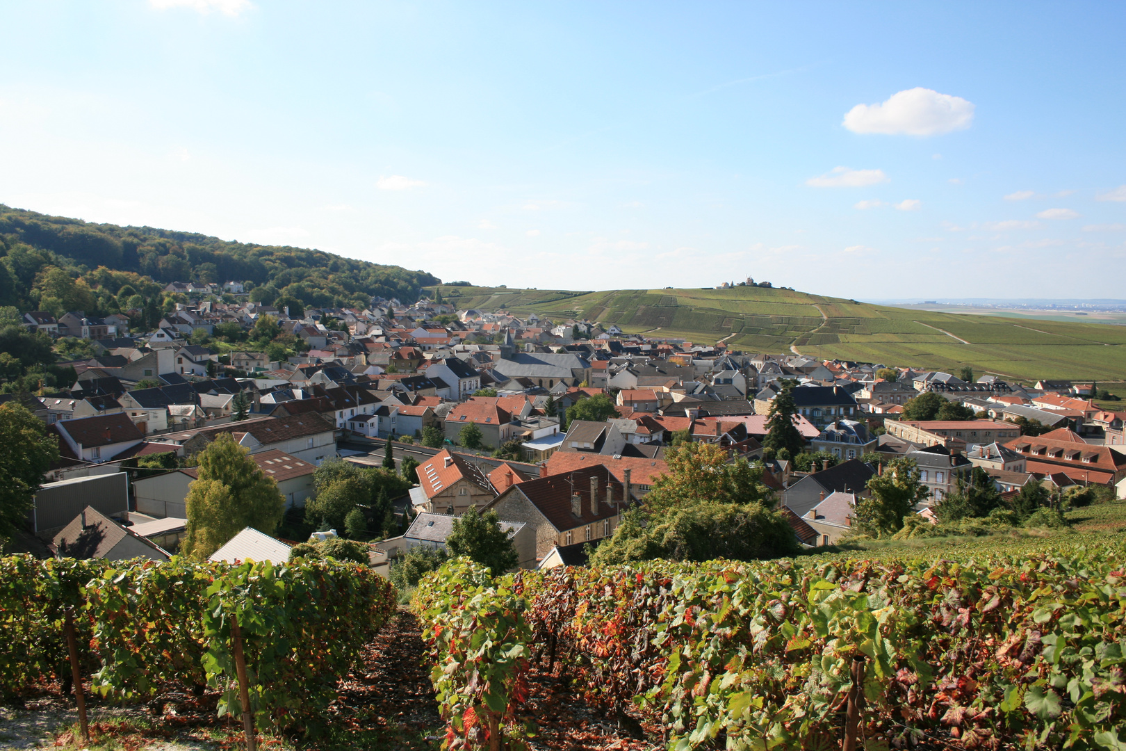 vue de la chapelle St LIE  VILLEDOMANGE (1)