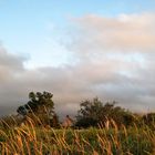 vue de la plage