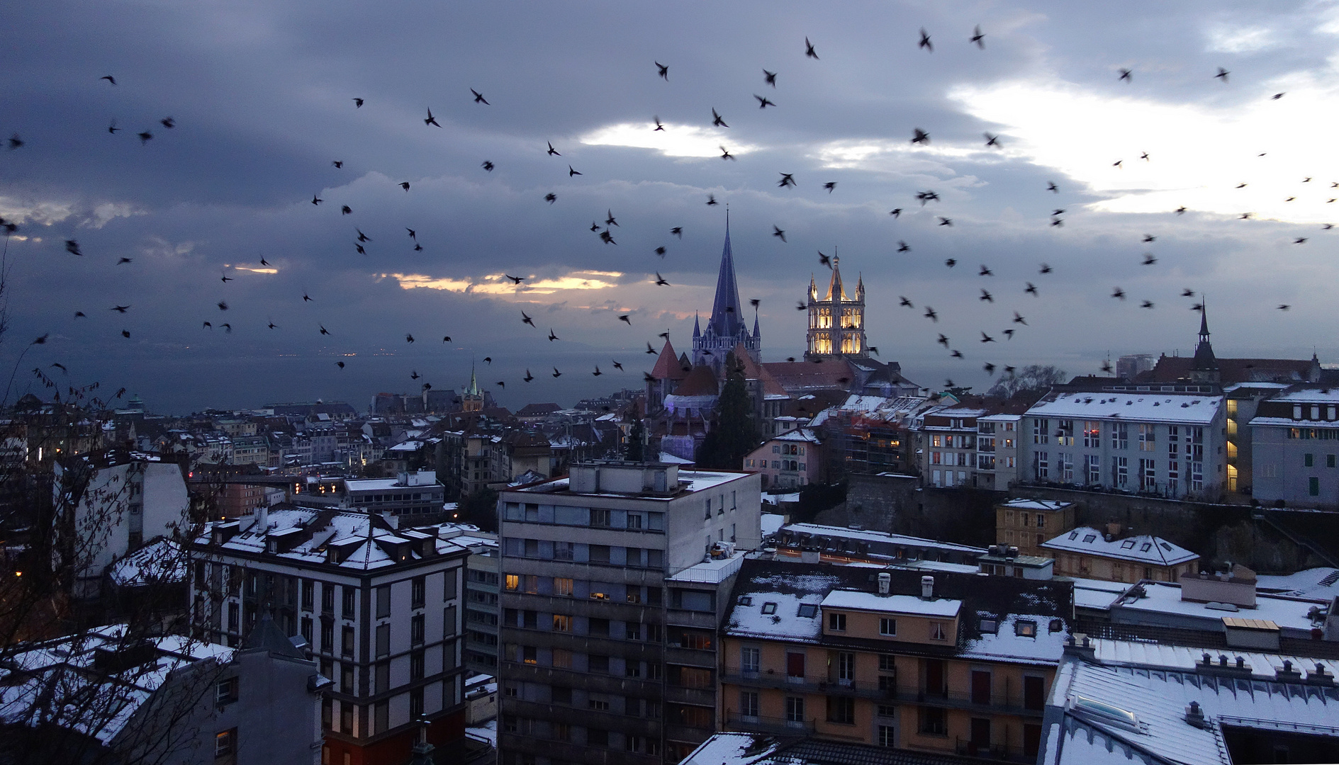 Vue de Lausanne en hiver