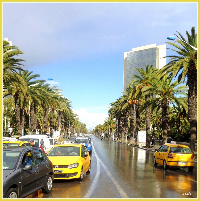 vue de l'avenue Mohammed V de Tunis