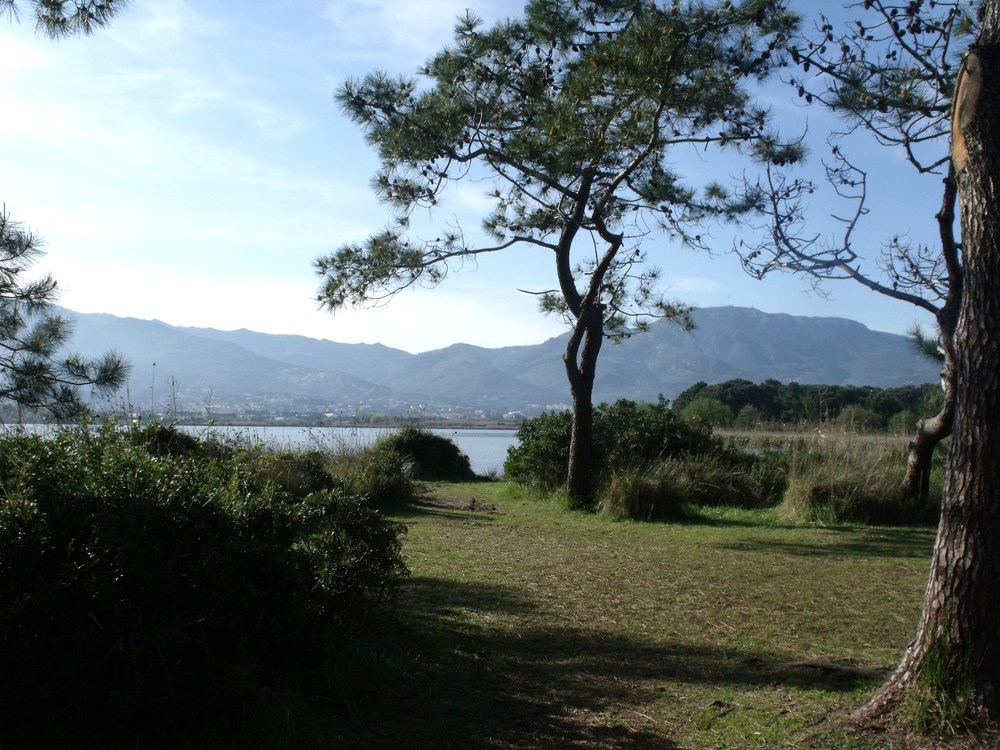 vue de l'étang de Biguglia,