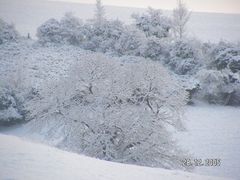 vue de ma fenetre