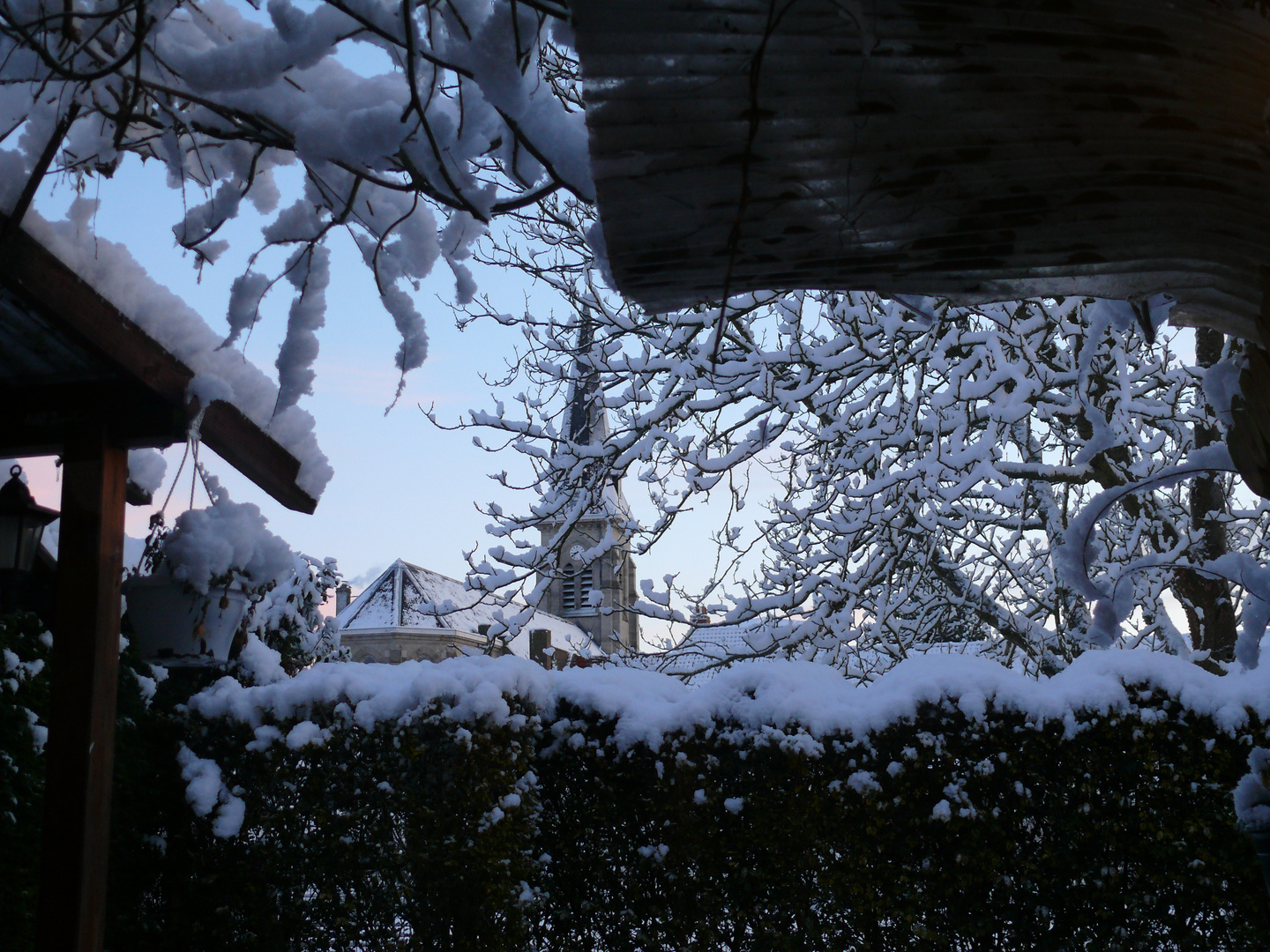 vue de mon jardin