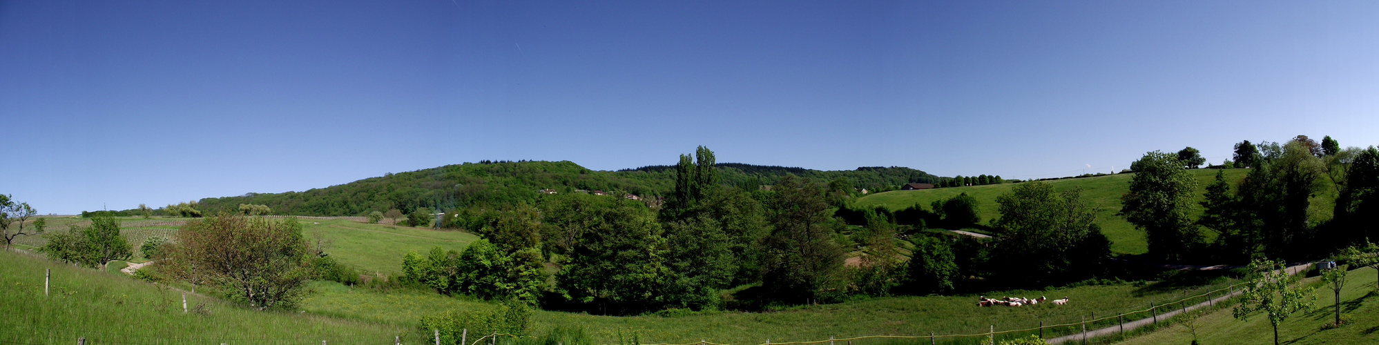 VUE DE PASSENANS DEPUIS MON VERGER