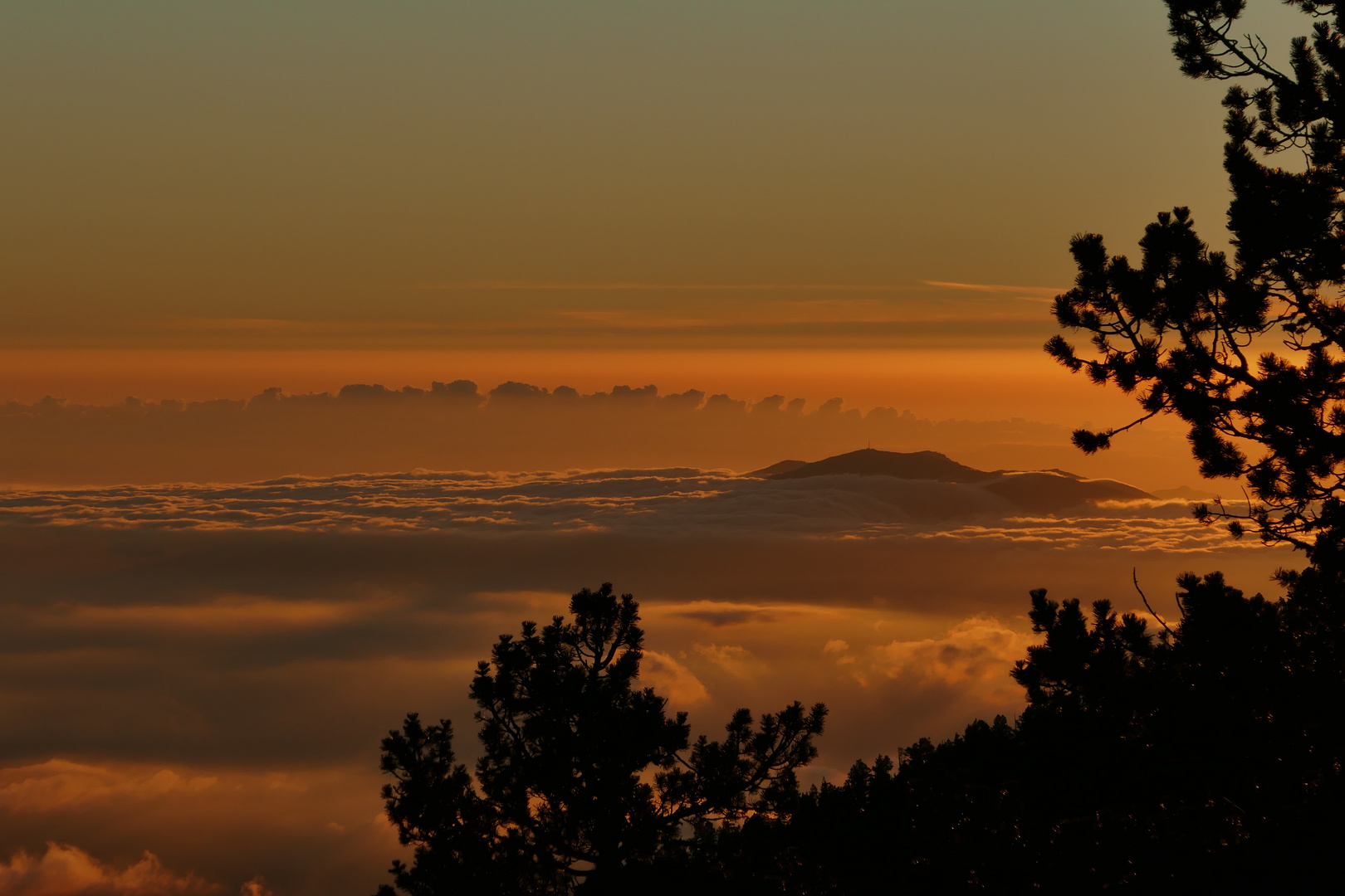 vue depuis le Canigou