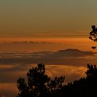 vue depuis le Canigou