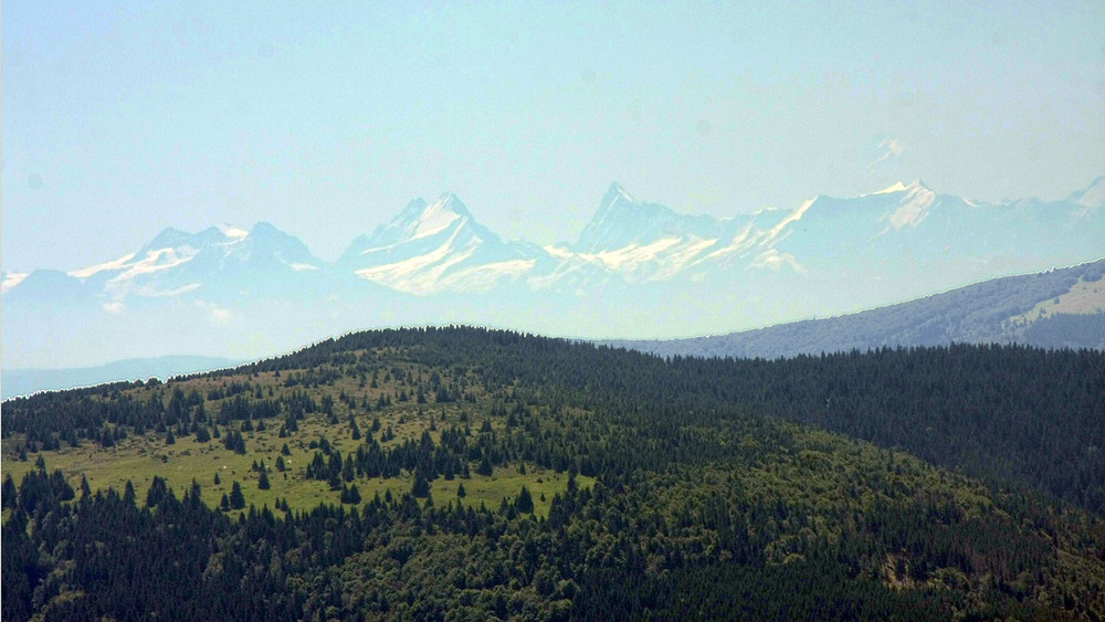 Vue depuis le Honneck, 29/07/09