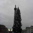 Vue depuis Trafalgar Square