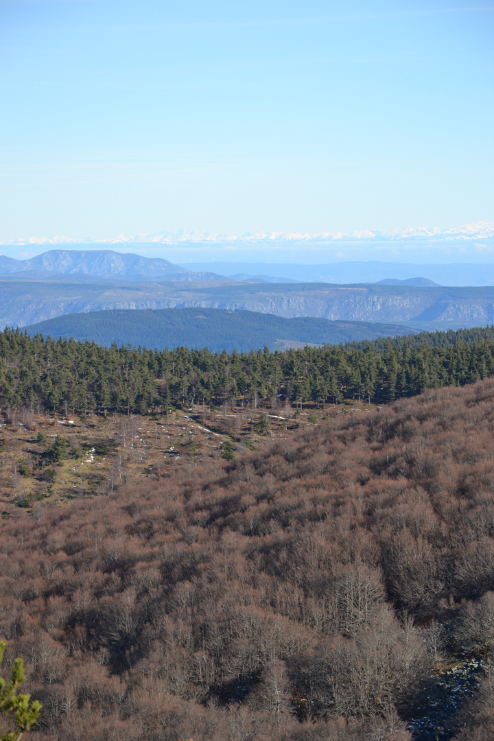 Vue des Alpes depuis le Mont Lozère