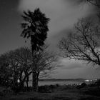 Vue des hauteurs de Roscoff