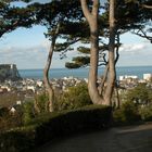 Vue d'étretat