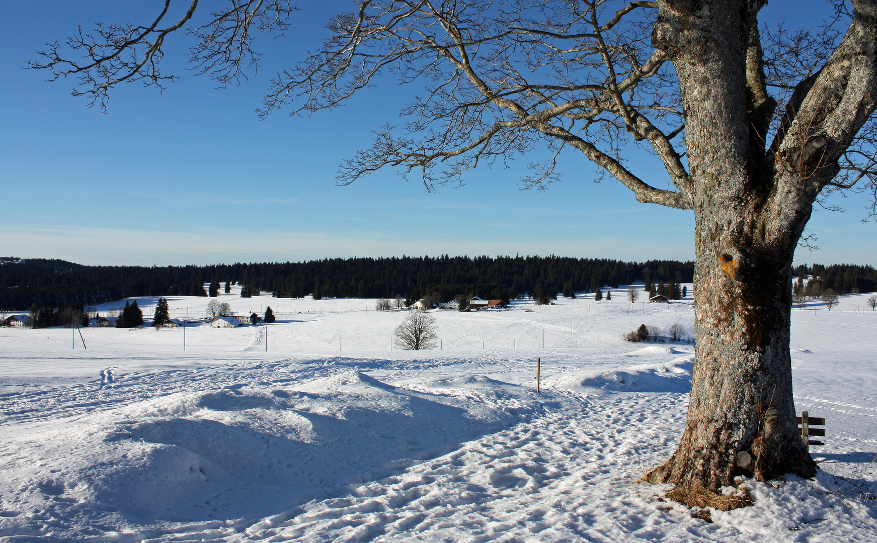 Vue d'hiver