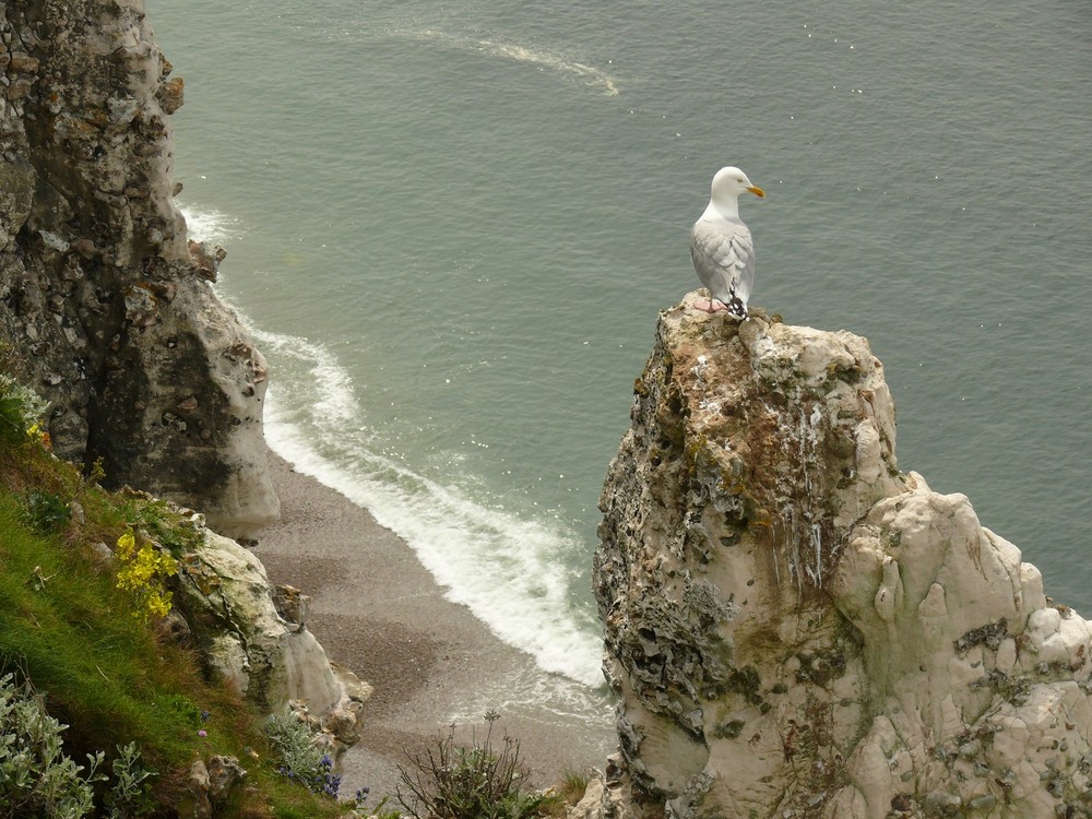 Vue d'oiseaux