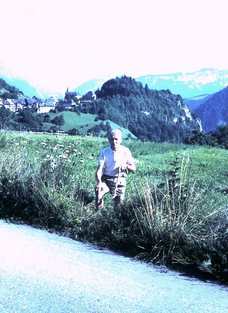 Vue du Châtelard-en-Bauges