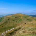 Vue du Colomby de Gex