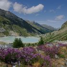 vue du Haut-Valais