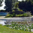 Vue du jardin des Célébrités à Honfleur