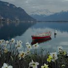 Vue du lac Léman, Territet-Montreux, VD.