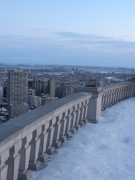 Vue du Mont Royal