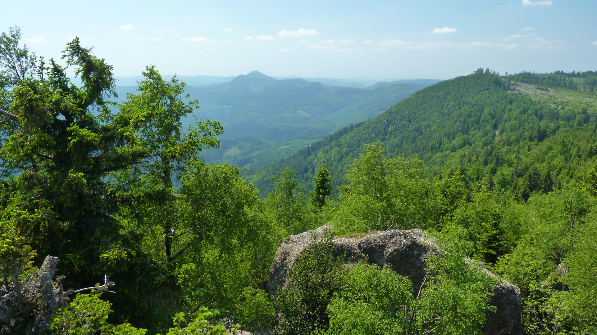 Vue du rocher de Mutzig