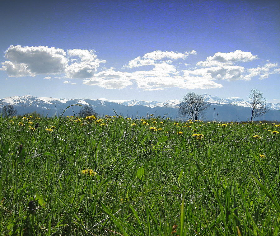 Vue d'un simple petit village . . .