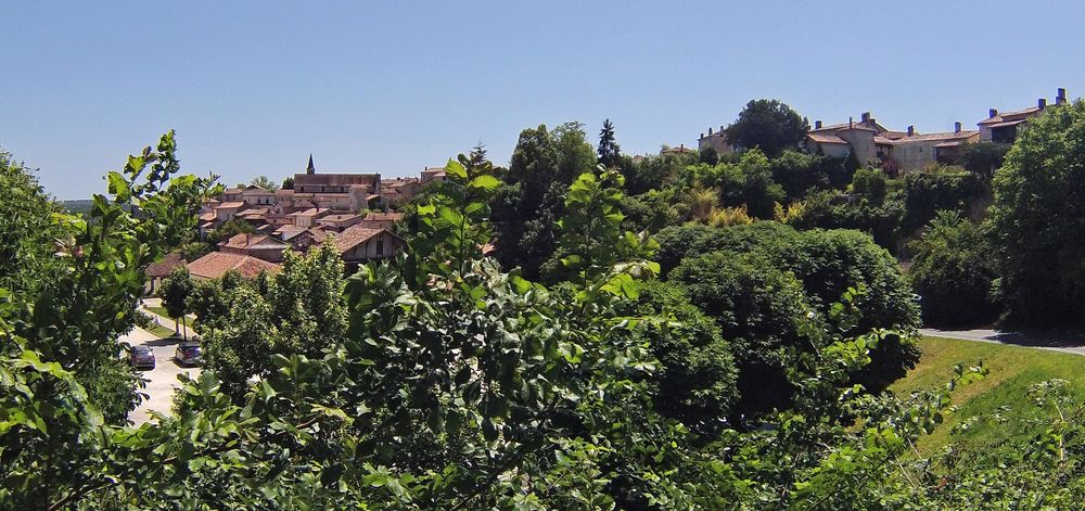 Vue générale de Aubeterre sur Dronne (Charente)