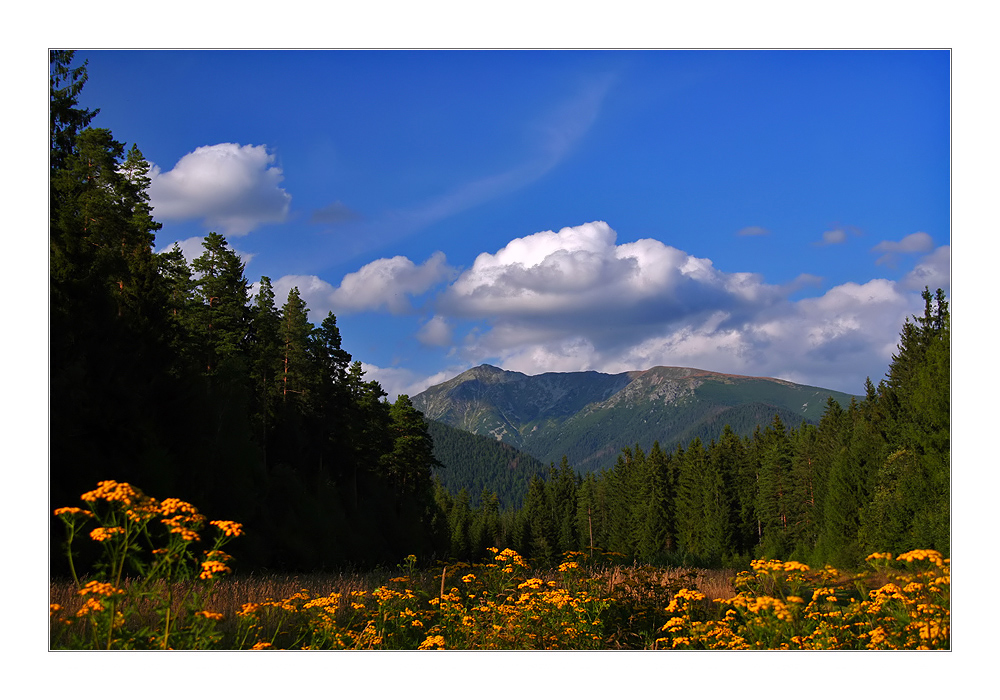 *Vue idyllique de montagne*