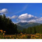 *Vue idyllique de montagne*