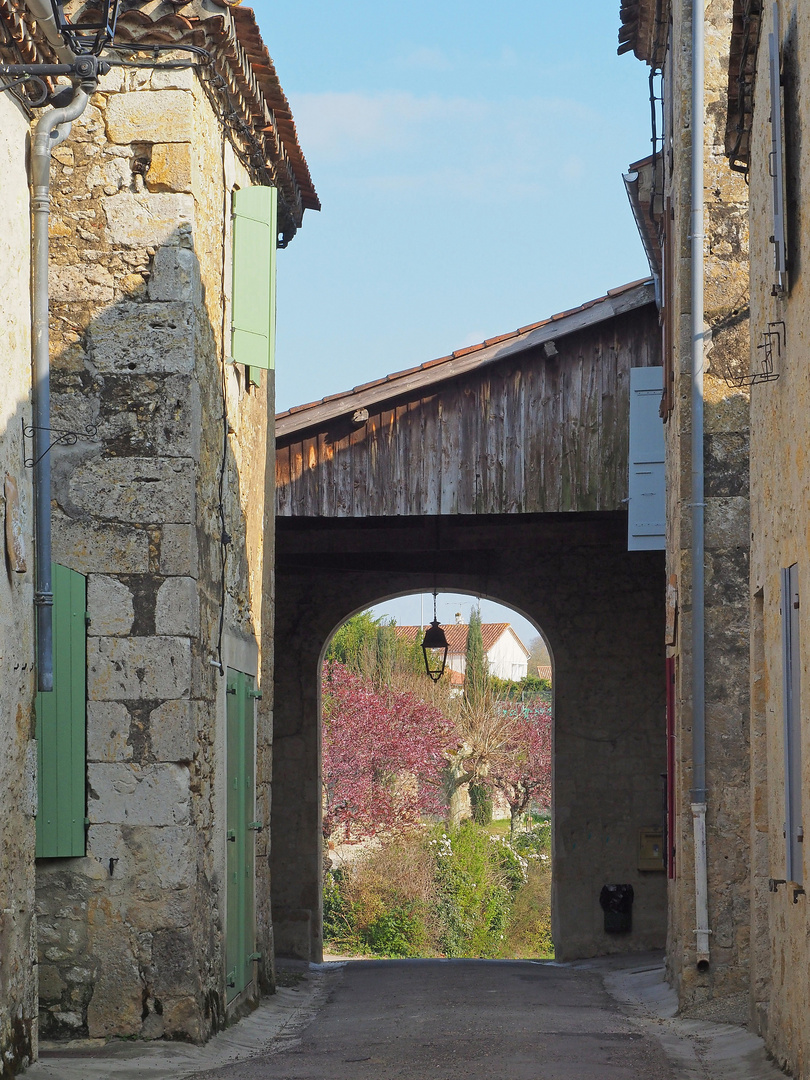 Vue printanière à Saint-Orens-Pouy-Petit