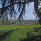 Vue printanière près de Laplume