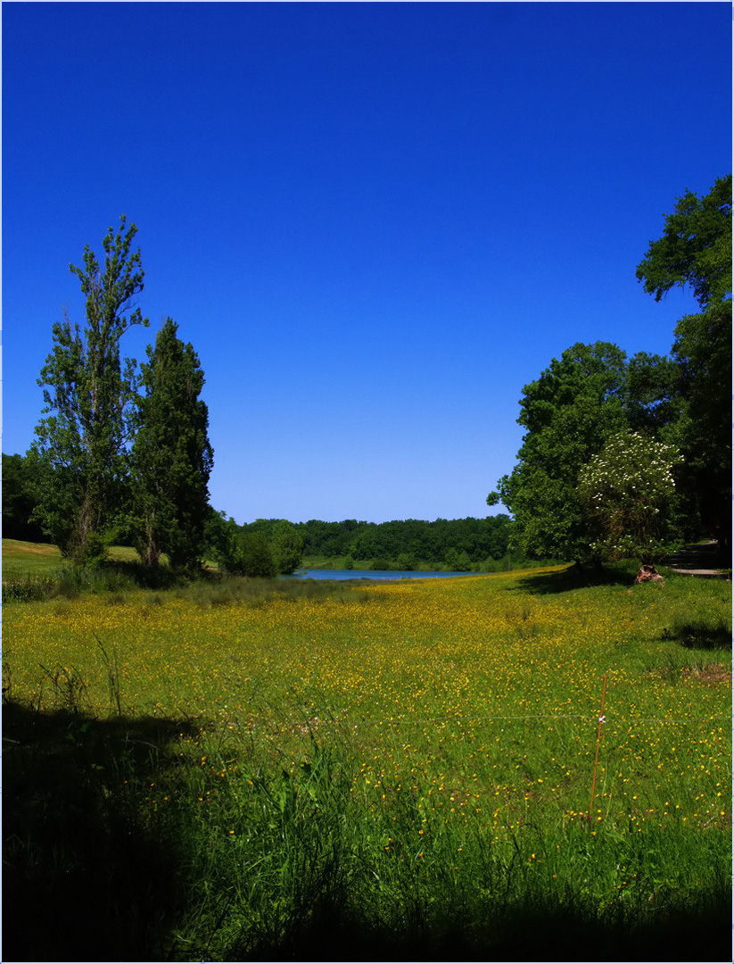 Vue printanière sur le lac du Bousquetarra à Condom  