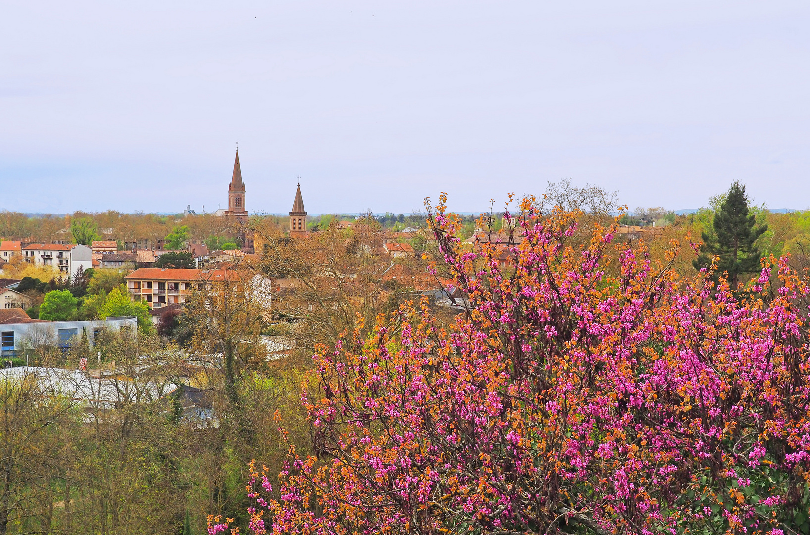 Vue printanière sur Montauban