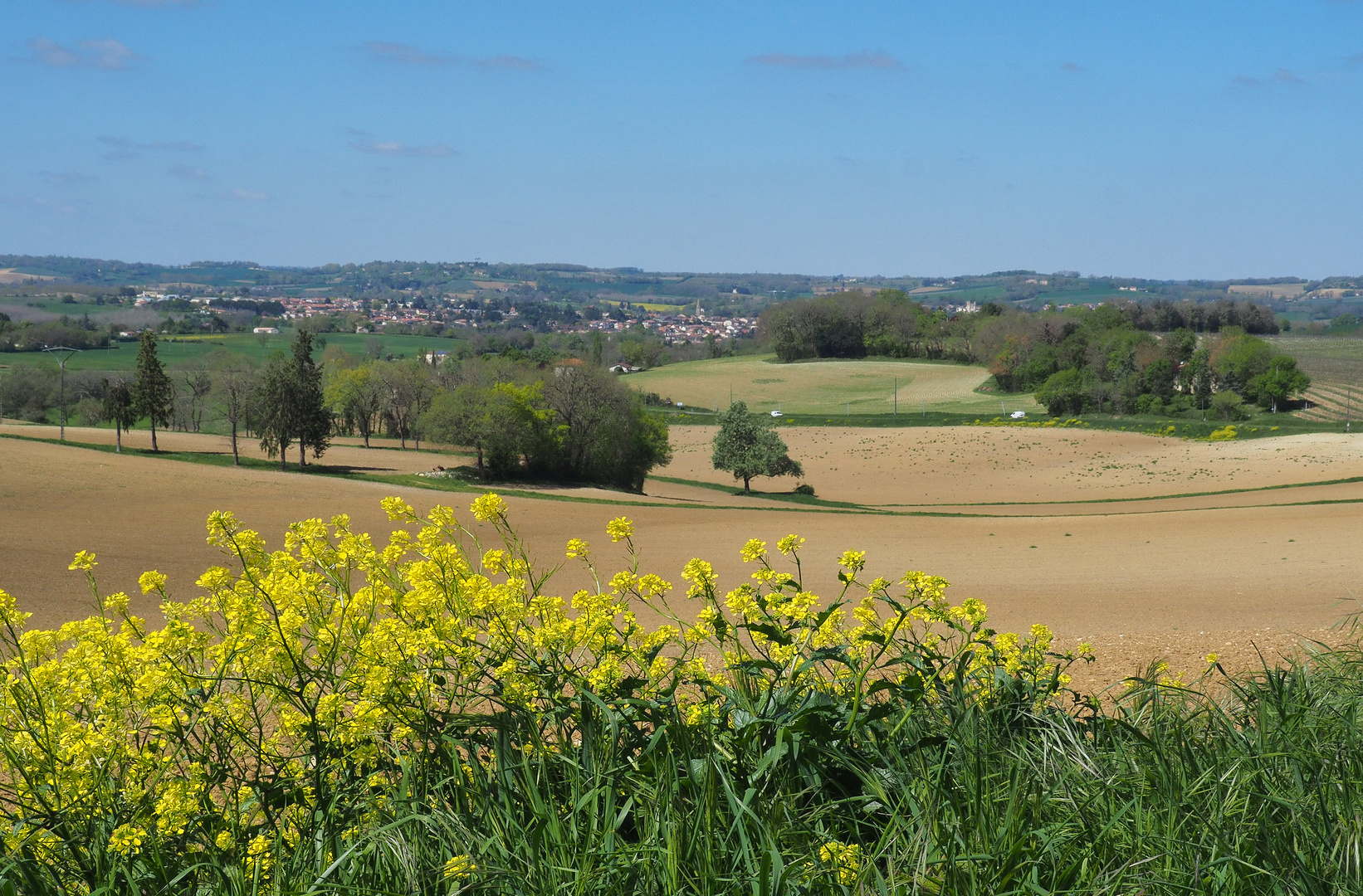 Vue sur Condom et la vallée de la Baïse au printemps