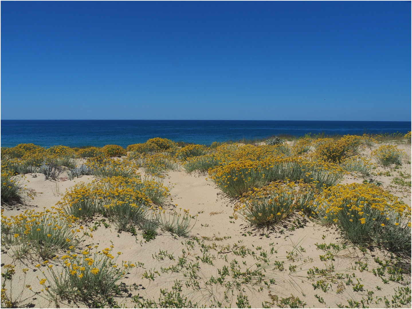 Vue sur dune et mer