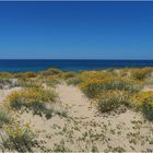 Vue sur dune et mer