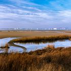 Vue sur Estuaire