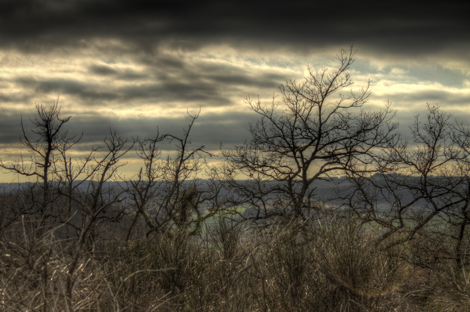 vue sur la campagne