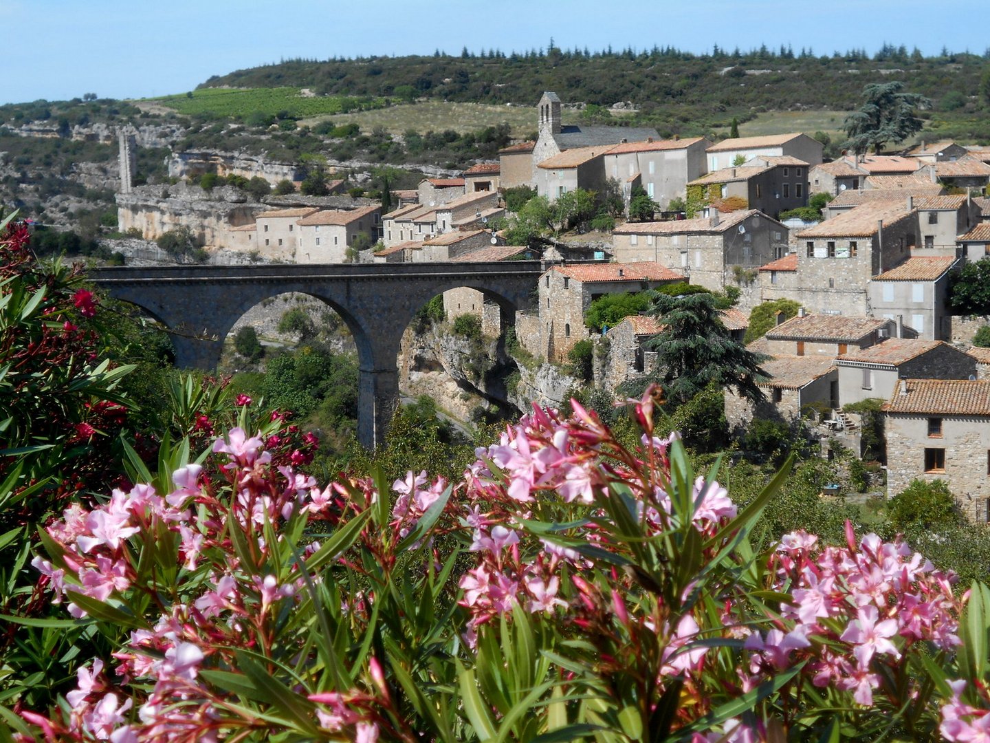Vue sur la citadelle de Minerve depuis la route principale (Hérault)