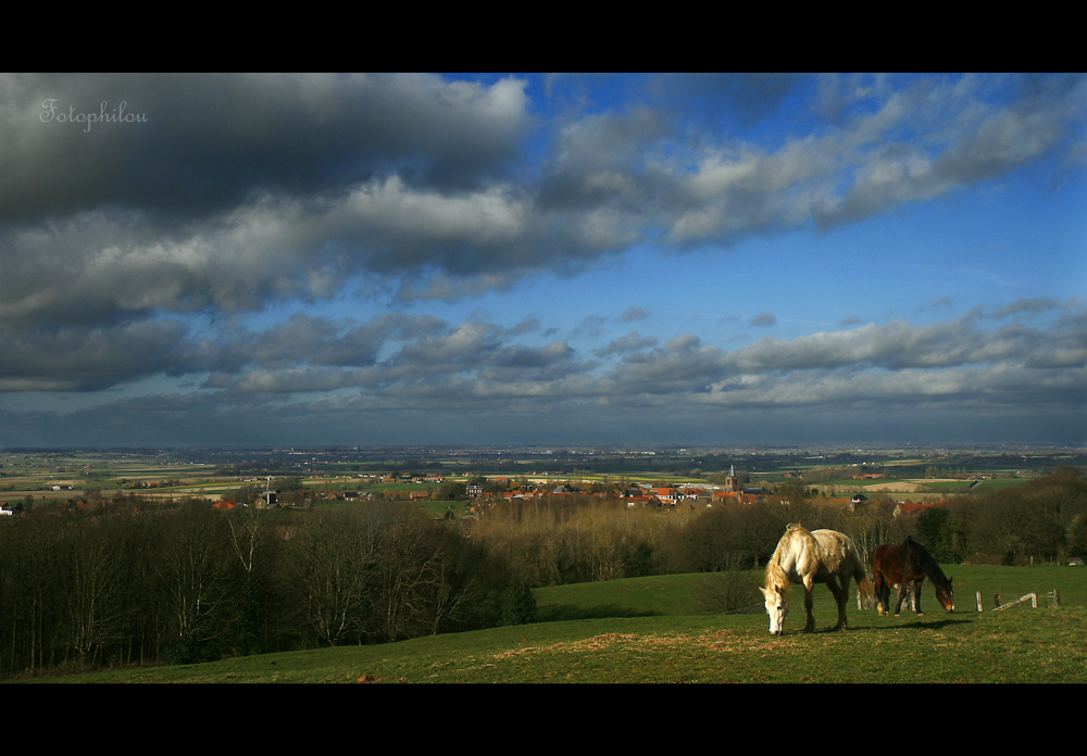 Vue sur la Flandre maritime