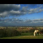 Vue sur la Flandre maritime