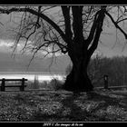 Vue sur la lac Léman