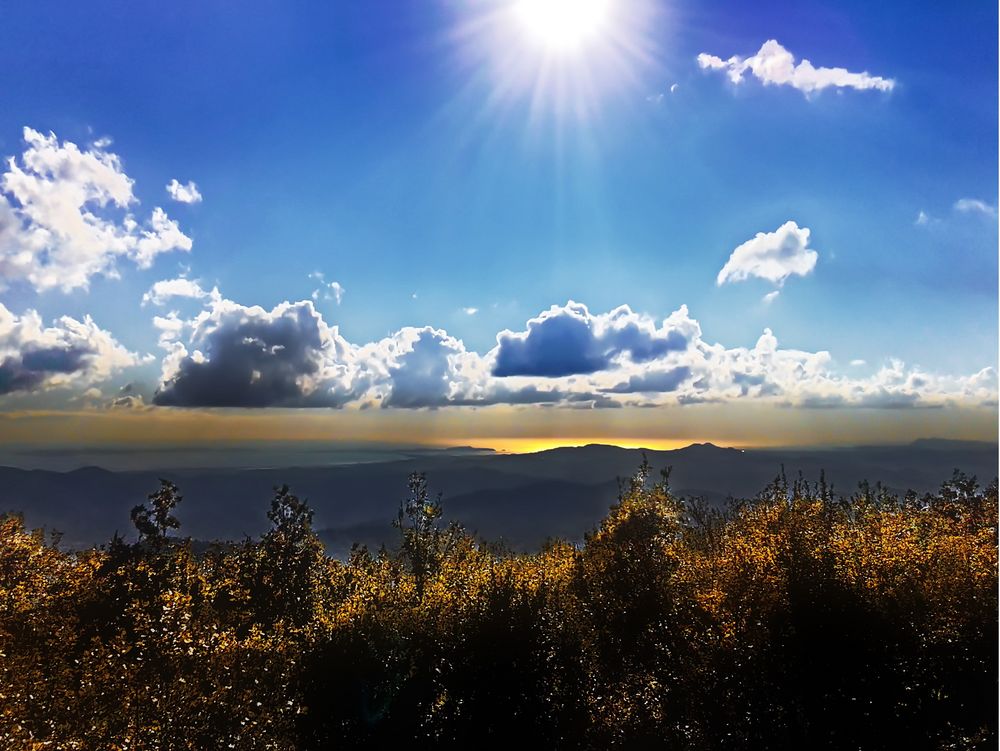 Vue sur La Londe les Maures