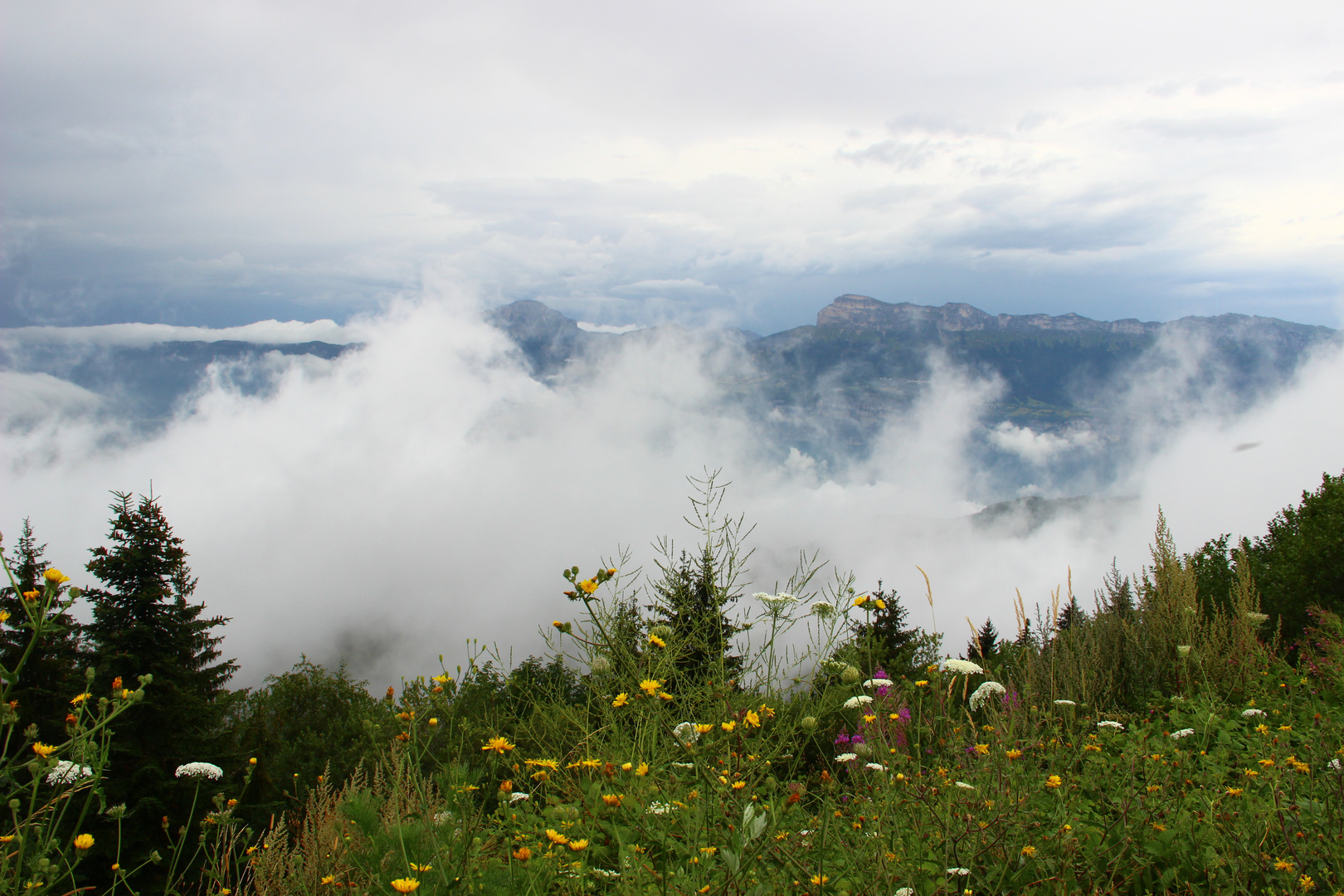 Vue sur la montagne