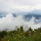 Vue sur la montagne