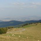 vue sur la plaine