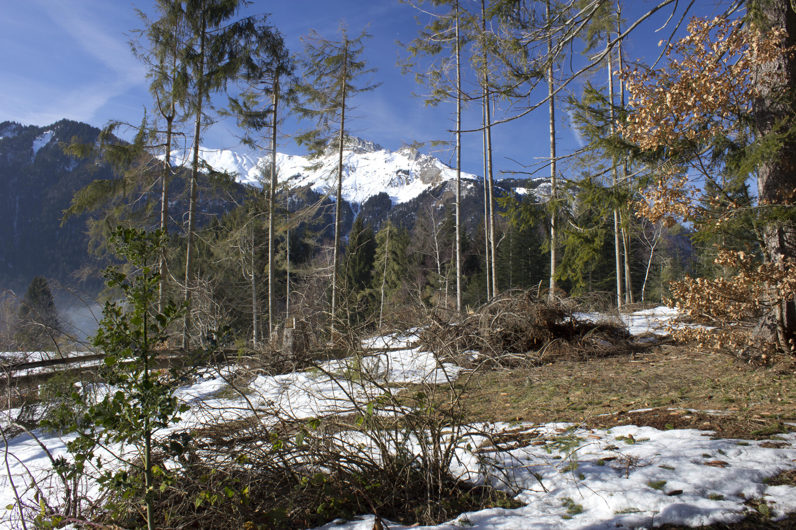 Vue sur la Sambuy