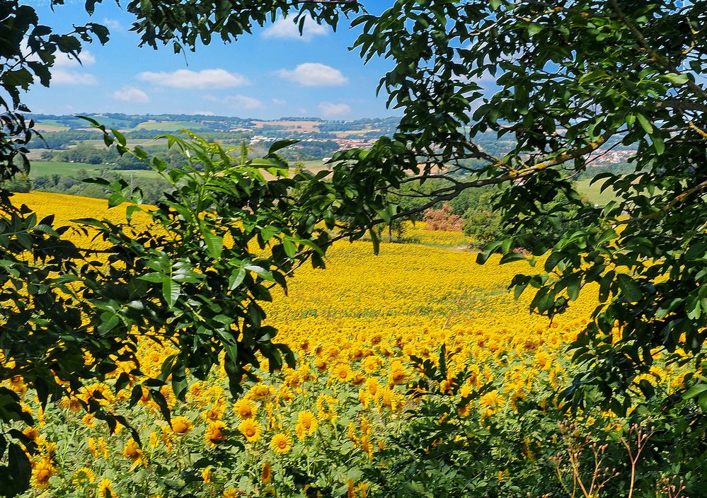 Vue sur la vallée de la Baïse à partir de Caussens