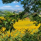 Vue sur la vallée de la Baïse à partir de Caussens