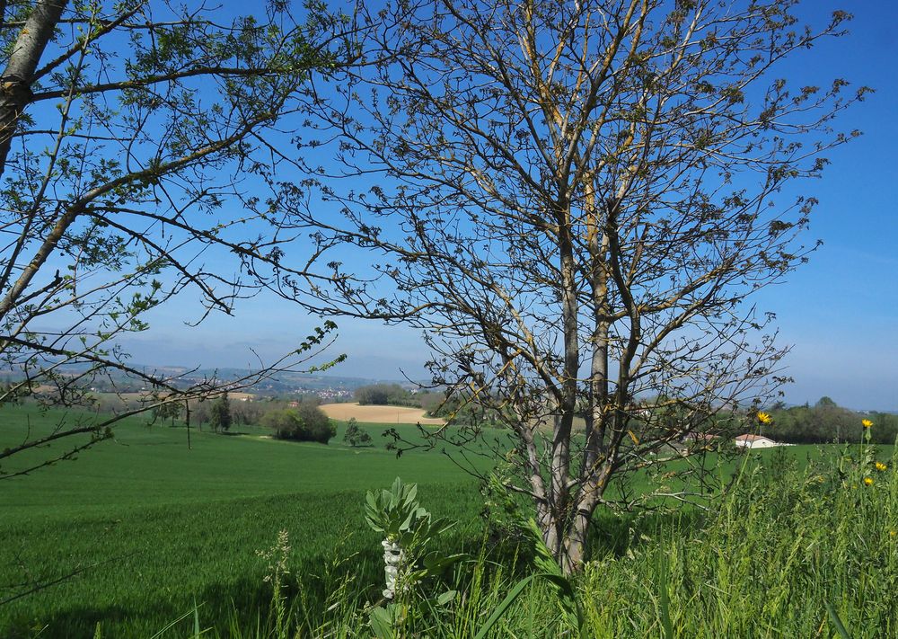 Vue sur la vallée de la Baïse