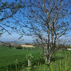 Vue sur la vallée de la Baïse